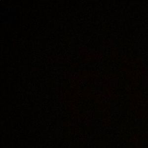 Meet your Posher, Mackenzie